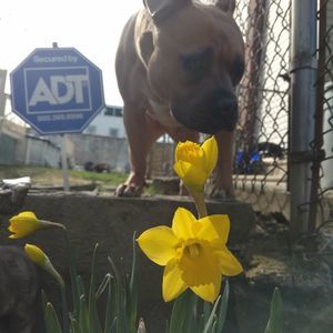 Meet your Posher, Barbara